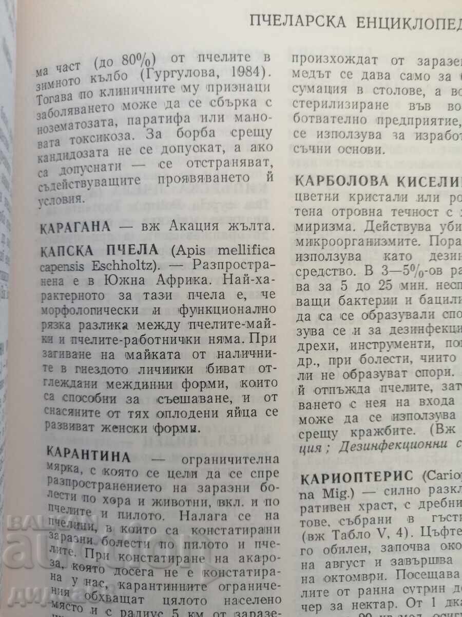Beekeeping Encyclopedia with price 15.00 BGN | € 7.67