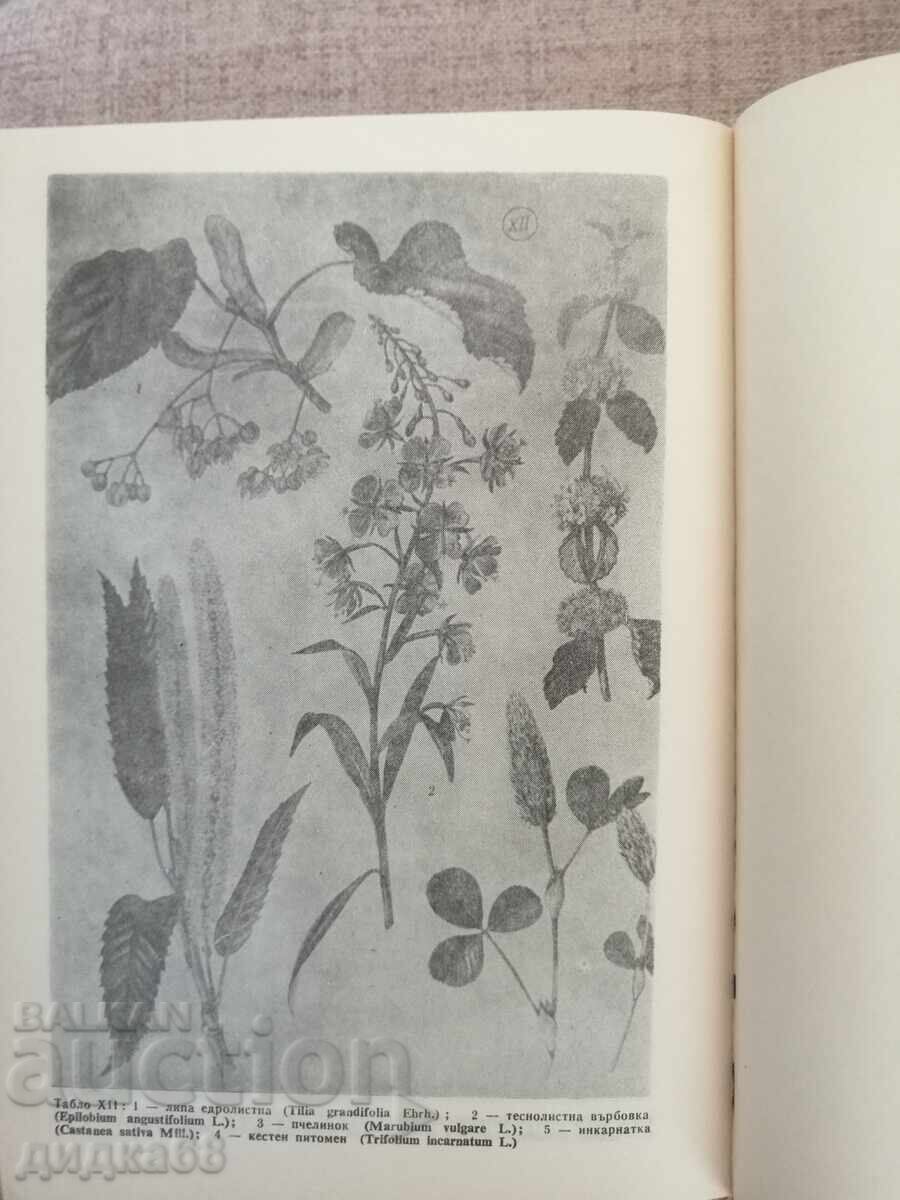 Delivery of Beekeeping Encyclopedia