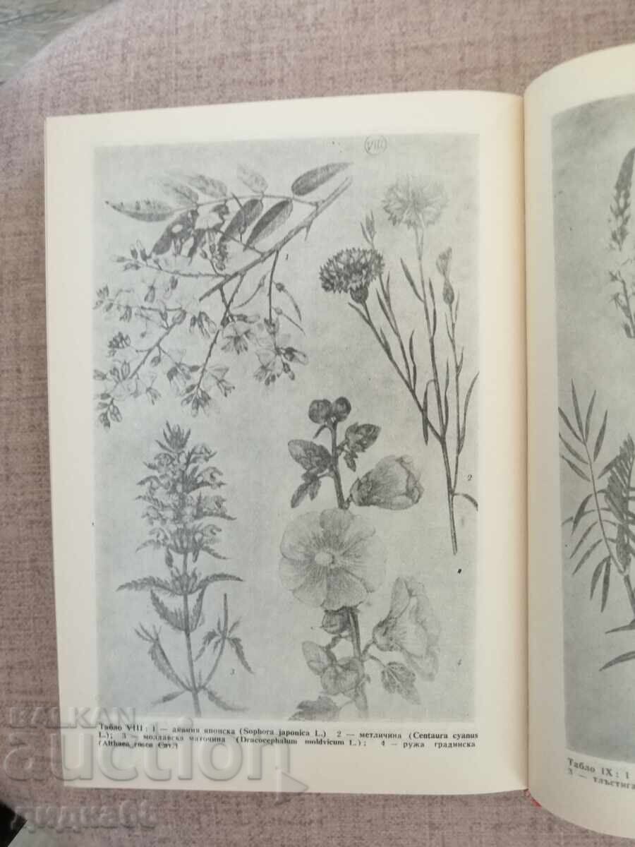 Beekeeping Encyclopedia - 5