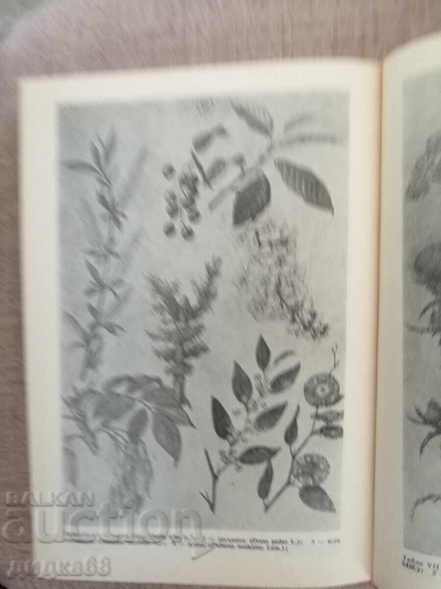 Beekeeping Encyclopedia - 6