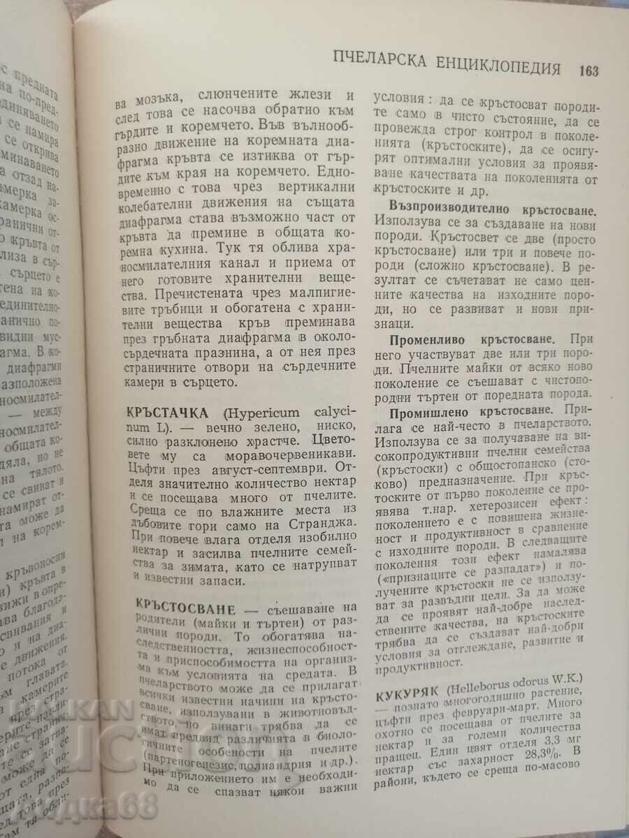 Beekeeping Encyclopedia - 7