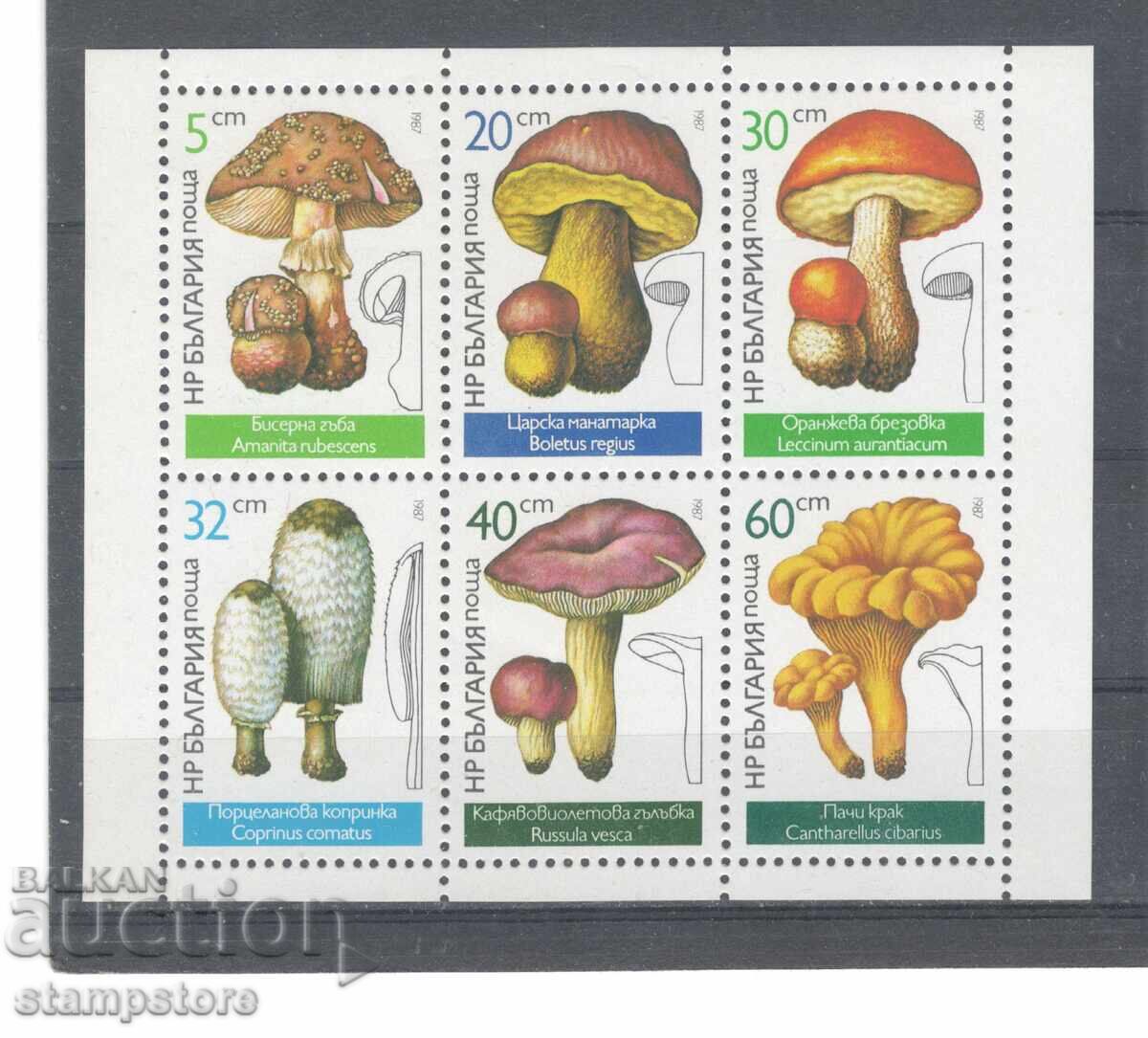 Edible mushrooms - small leaf