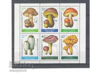 Edible mushrooms - small leaf