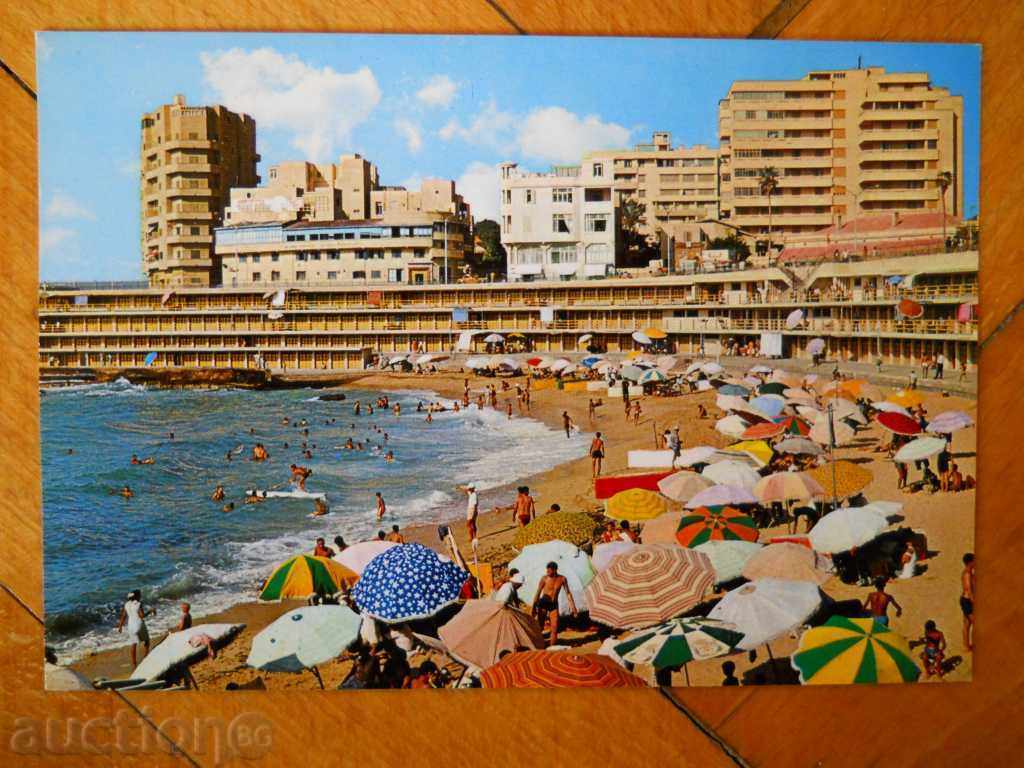 Postcard - Egypt (Alexandria) Postcard - Egypt (Alexandria)
