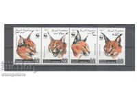 Somalia - Carnivorous Cats