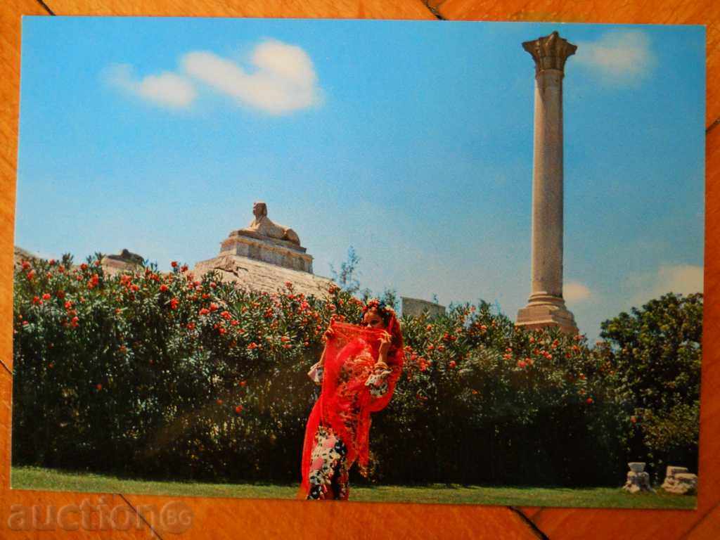Postcard - Egypt (Alexandria - Pompey's Pillar)