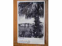 Antique postcard - Yugoslavia (Dubrovnik, Croatia)