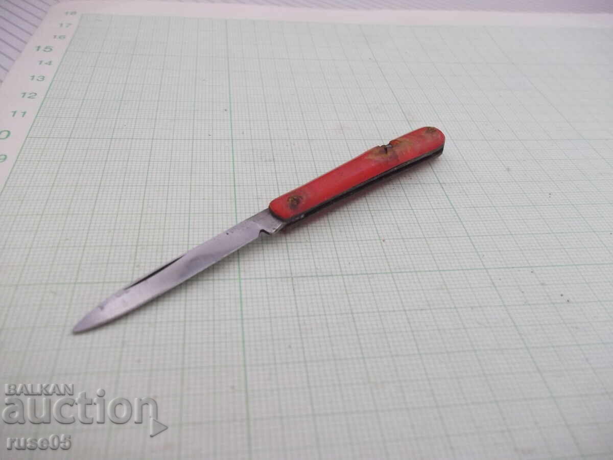 Licitație Picioruș mic Licitație Picioruș mic