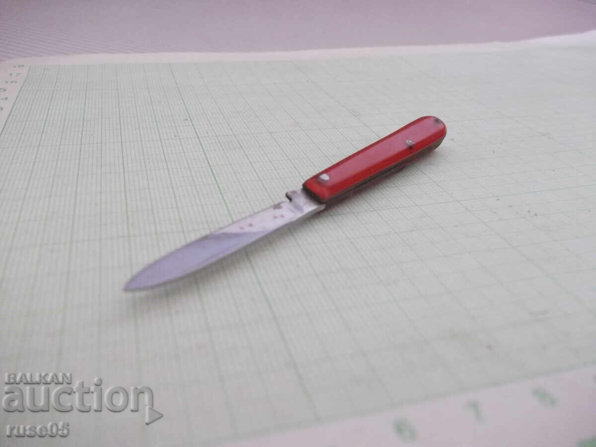 Livrarea Picioruș mic Livrarea Picioruș mic