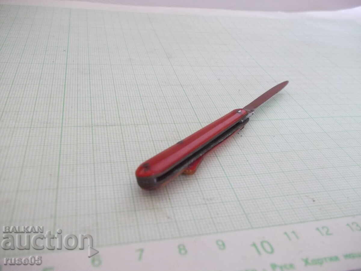 Picioruș mic - 5 Picioruș mic - 5