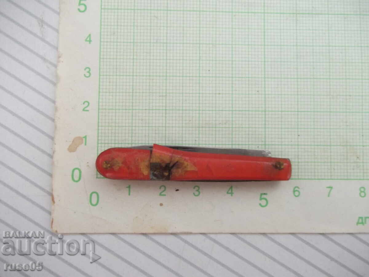 Picioruș mic - 6 Picioruș mic - 6