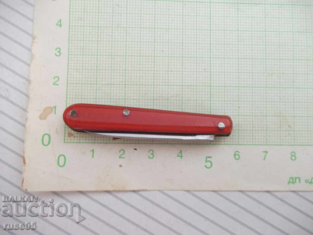 Picioruș mic - 7 Picioruș mic - 7