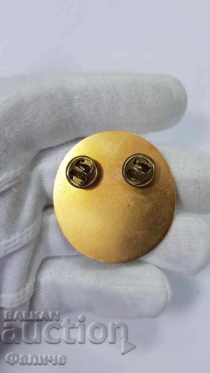 Semn foarte rar, insignă unitate parașutiști, Parașut 1998 - 6