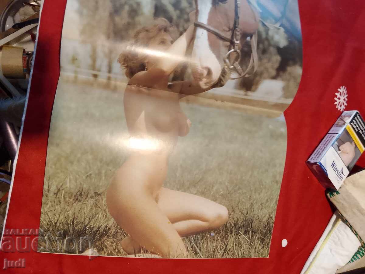 Club M Retro Magazine 1991 with price 30.00 BGN | € 15.34