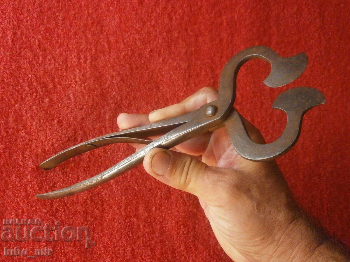 Delivery of Antique Forged Sugar Cutter Delivery of Antique Forged Sugar Cutter