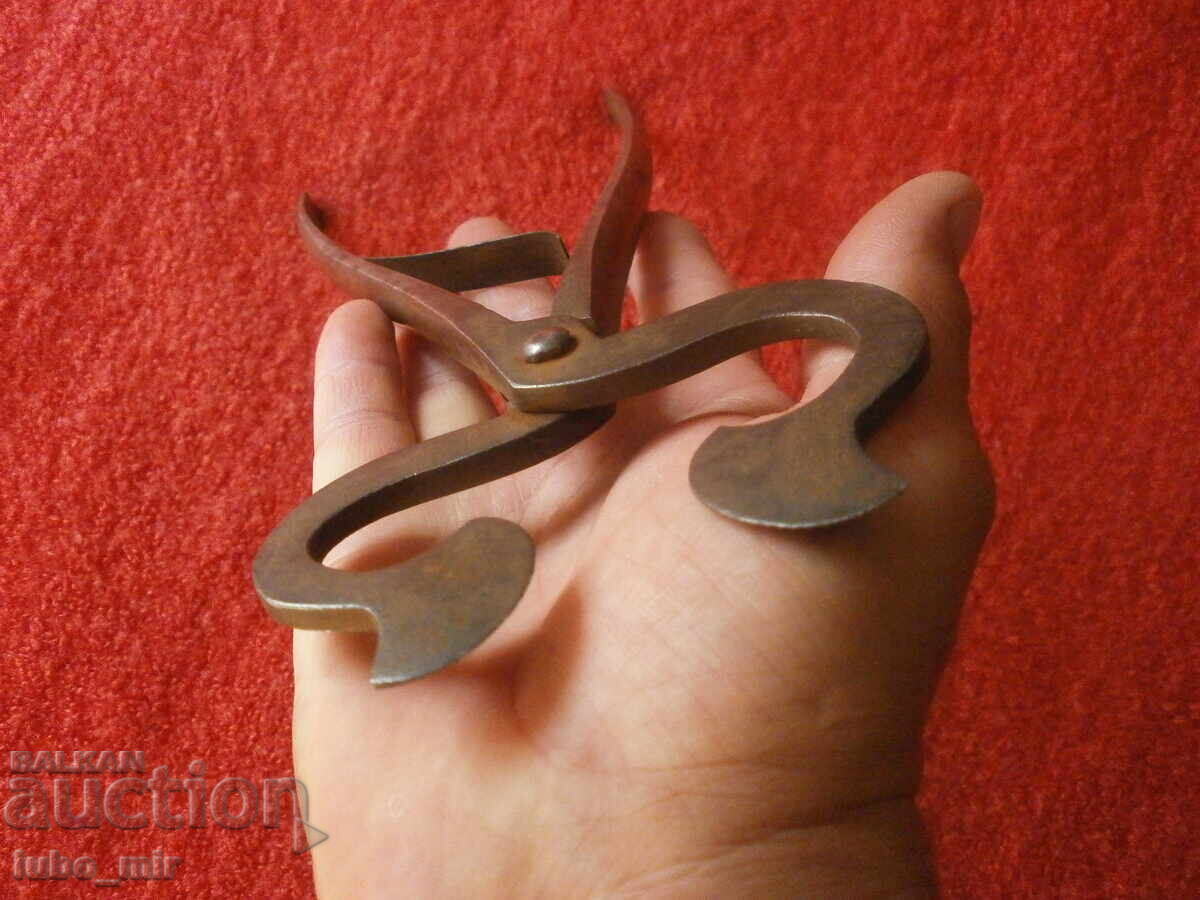 Antique Forged Sugar Cutter - 5 Antique Forged Sugar Cutter - 5