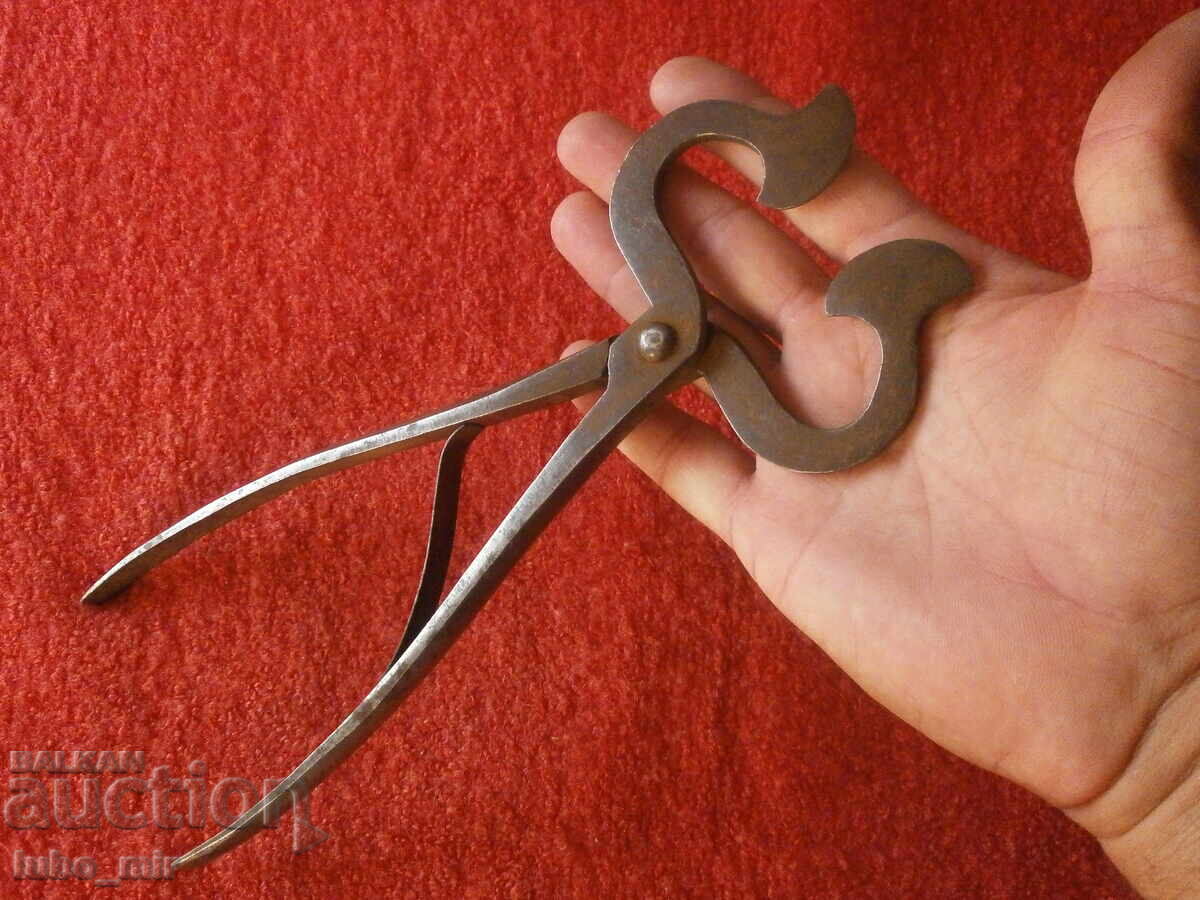 Antique Forged Sugar Cutter Antique Forged Sugar Cutter