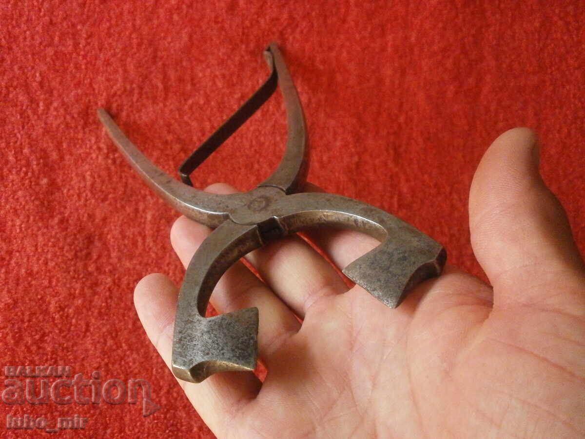 Delivery of Antique Forged Sugar Cutter
