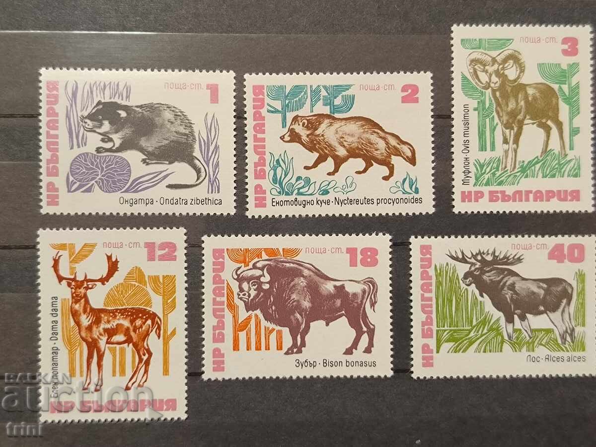 Bulgaria 1973 Fauna Rare mammals Bulgaria 1973 Fauna Rare mammals