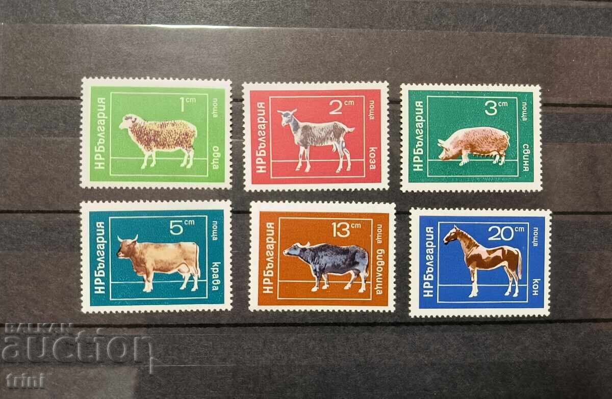 Bulgaria 1974 Animale de companie
