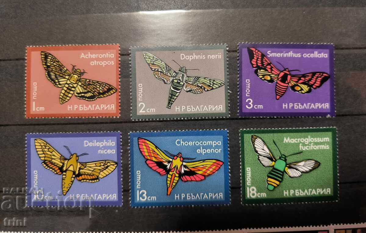 Bulgaria 1975. Fluturi de noapte Bulgaria 1975. Fluturi de noapte