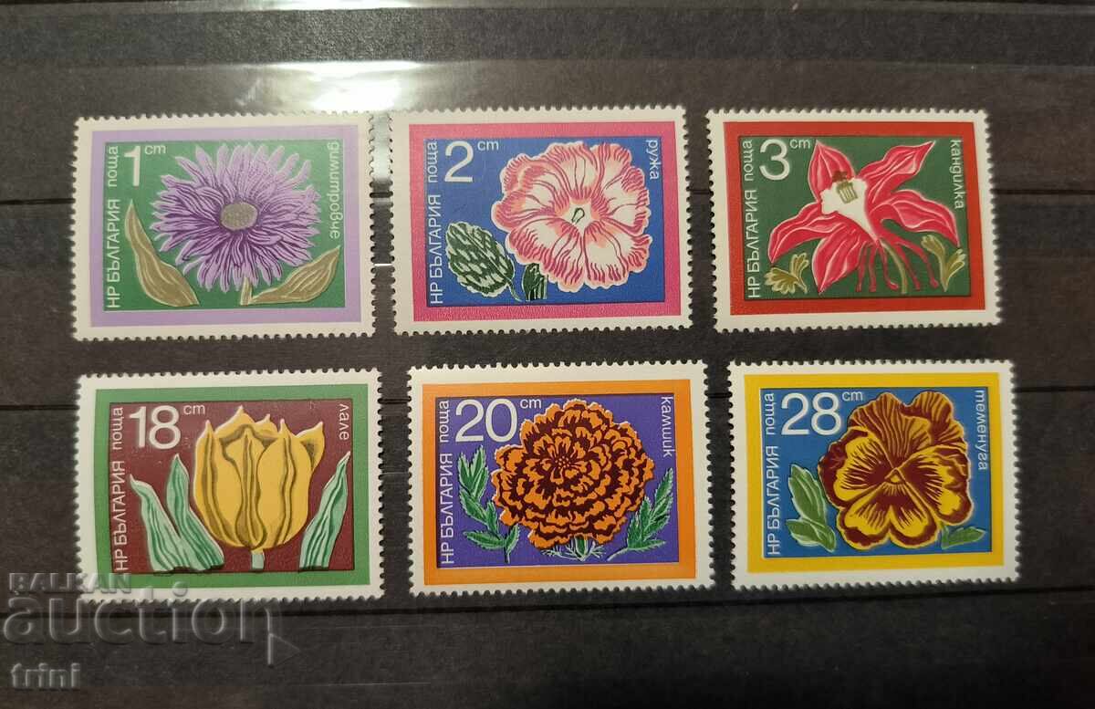 Bulgaria 1974. Garden Flowers Bulgaria 1974. Garden Flowers