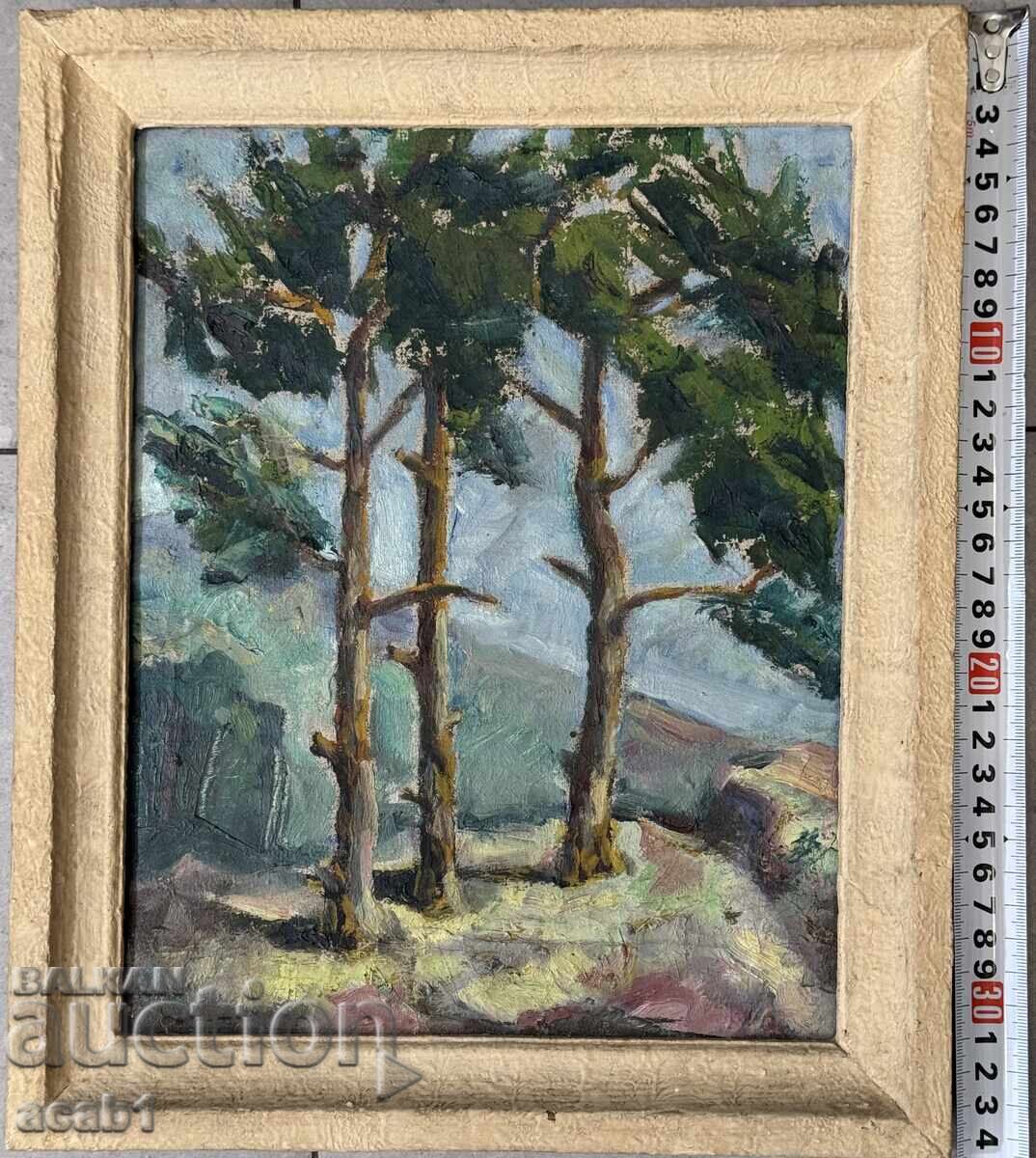 "Borove" Κοντά στο χωριό Σεσλάβτσι 1965 Νικόλας Πόποφ "Borove" Κοντά στο χωριό Σεσλάβτσι 1965 Νικόλας Πόποφ