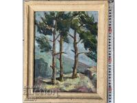 "Borove" Κοντά στο χωριό Σεσλάβτσι 1965 Νικόλας Πόποφ