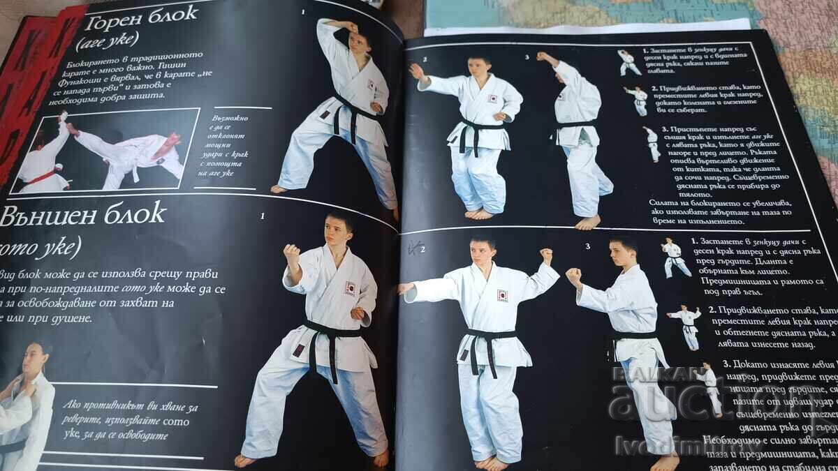 Δημοπρασία Πολεμικές τέχνες ΚΑΡΑΤΕ 2007