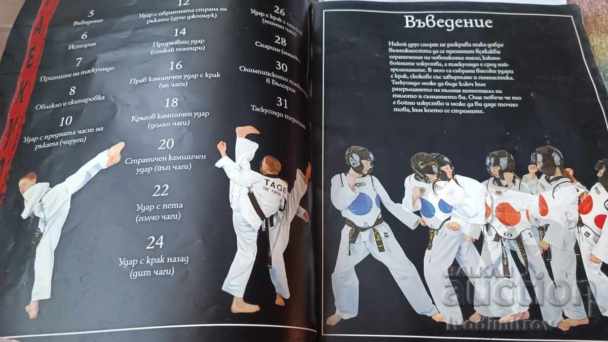 Δημοπρασία Πολεμικές τέχνες TAEKWONDO 2007