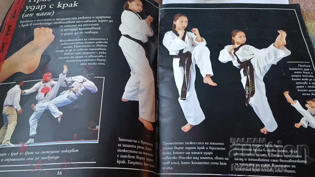 Παράδοση Πολεμικές τέχνες TAEKWONDO 2007