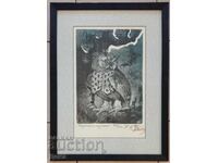 Interesting graphics 2009