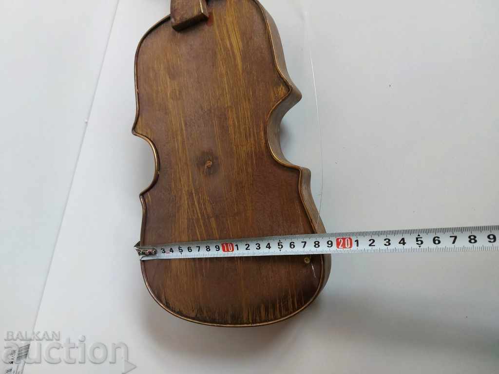. VIOLA DECORATIVA PLASTIC PENTRU PERETE - 6