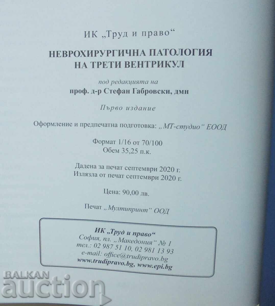 Auction Neurosurgical pathology of the third ventricle 2020 Auction Neurosurgical pathology of the third ventricle 2020