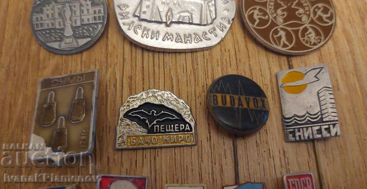 Auction  Collector's Badges, 12 Pieces