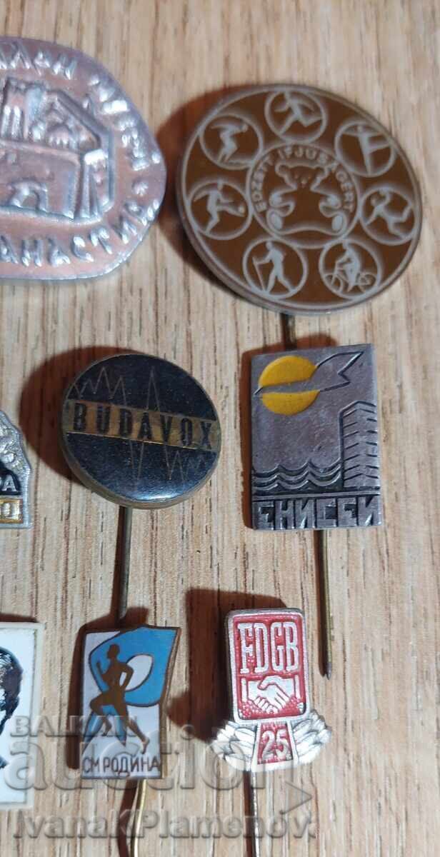 Insigne pentru colecționari, 12 bucăți - 5