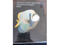 Илюстрована енциклопедия риби