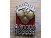 Значка "Алма Ата" Казахстан