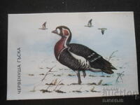 Παλιό ημερολόγιο, 1989, Κόκκινη χήνα