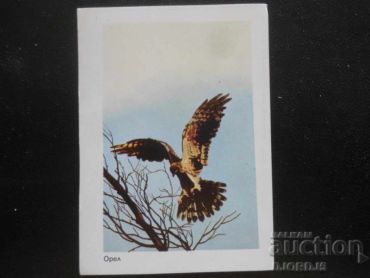 Old calendar, 1984, Orel