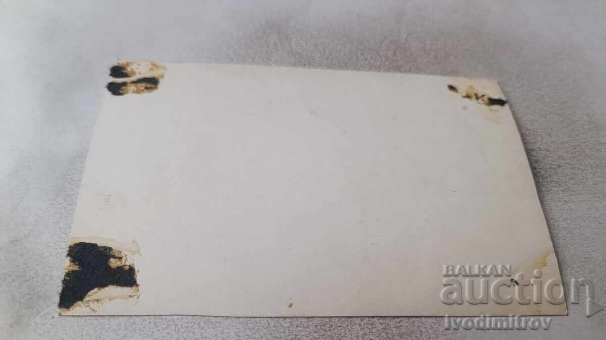 Fotografie Tineră fată pe carusel cu preț 1.65 BGN | € 0.84 Fotografie Tineră fată pe carusel cu preț 1.65 BGN | € 0.84