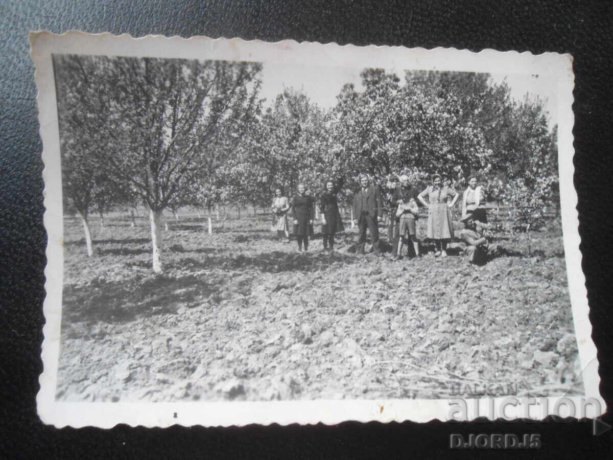 old photo with price 1.00 BGN | € 0.51 old photo with price 1.00 BGN | € 0.51