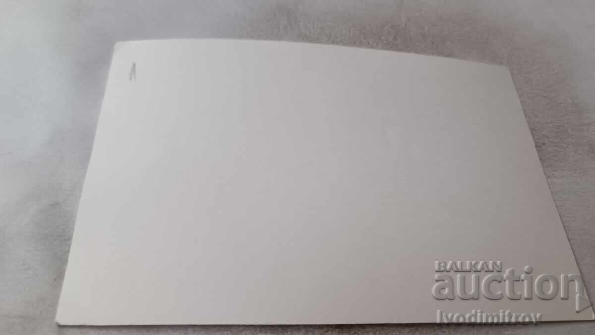 Φωτογραφία Μπασκετμπολιστριών με τιμή 1.45 BGN | € 0.74