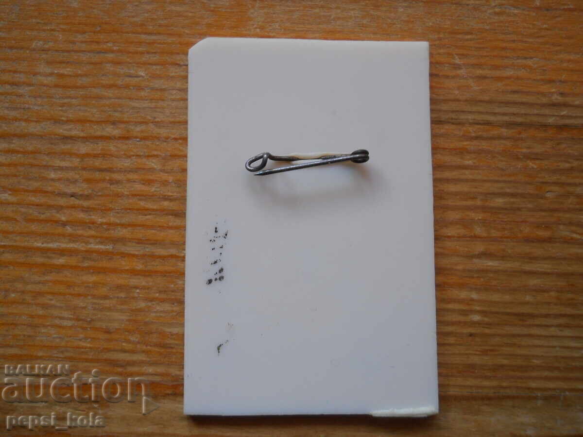 Голяма значка "За свободни и демократични избори" 1990 г с цена 2.00 лв. | € 1.02 Голяма значка "За свободни и демократични избори" 1990 г с цена 2.00 лв. | € 1.02