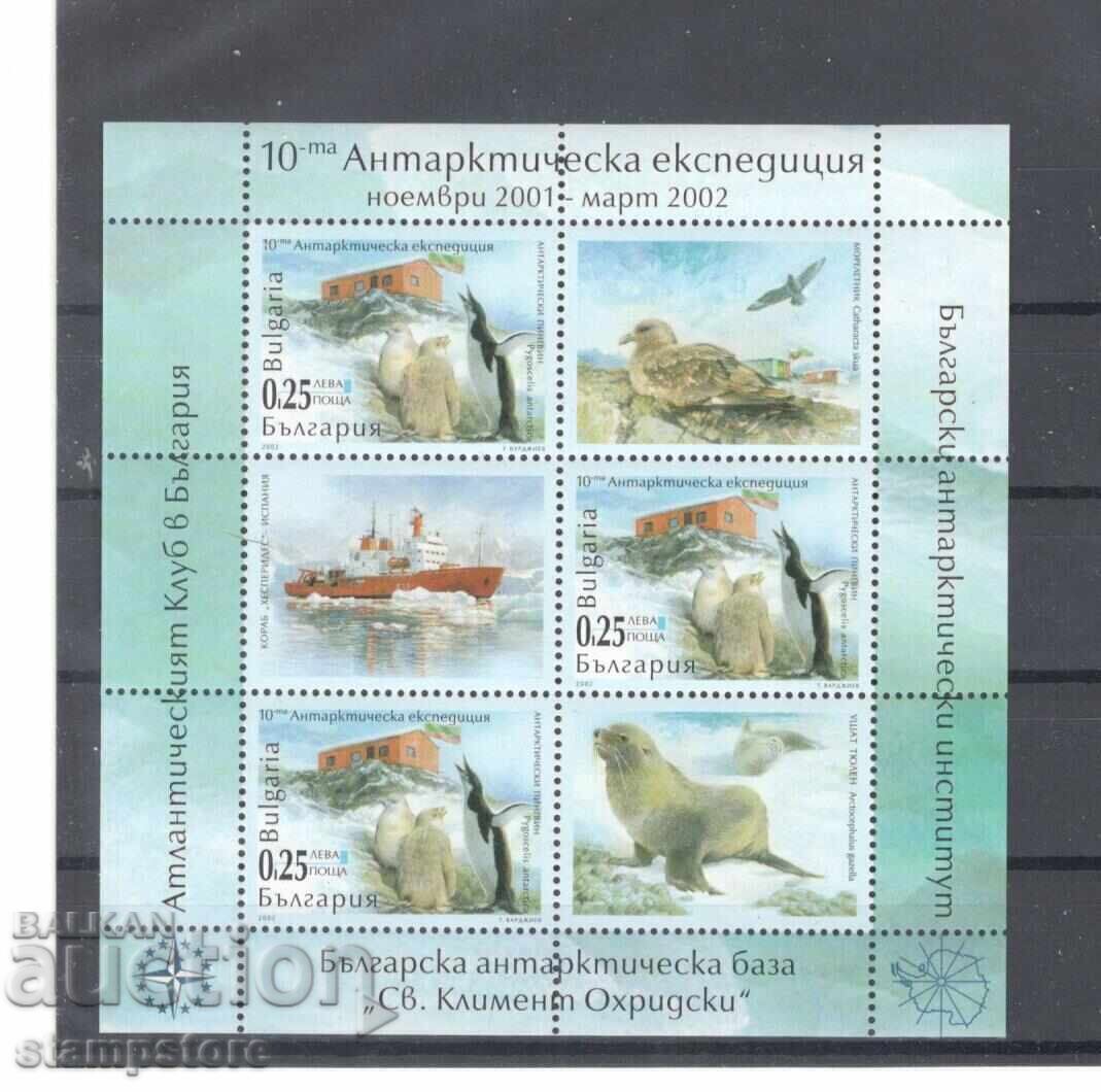10 Antarctic expedition - block 10 Antarctic expedition - block