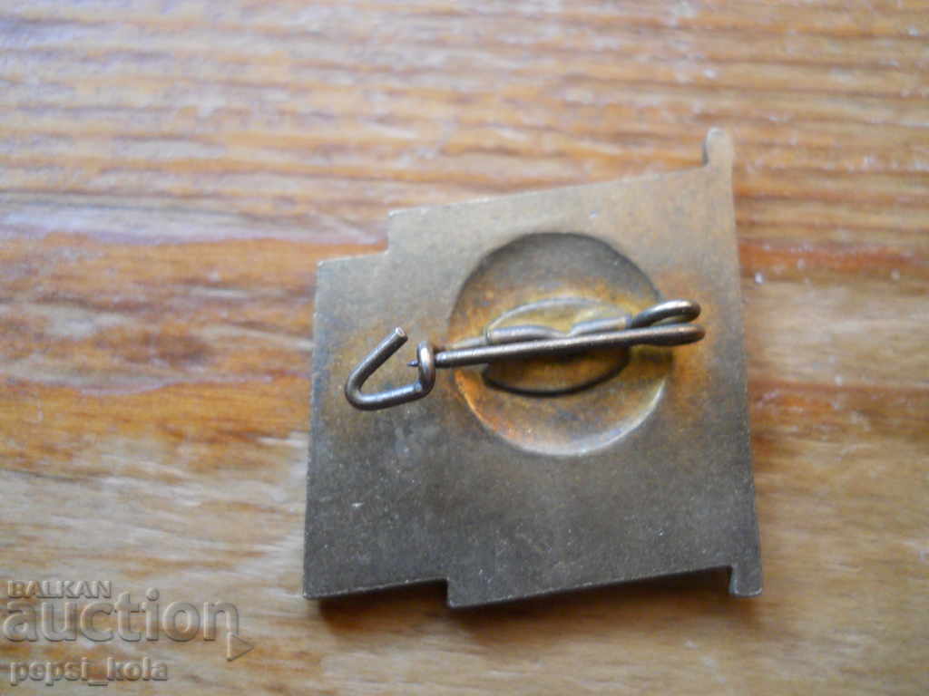 Пионерска значка "Млад Телмановец" - ГДР с цена 2.00 лв. | € 1.02 Пионерска значка "Млад Телмановец" - ГДР с цена 2.00 лв. | € 1.02