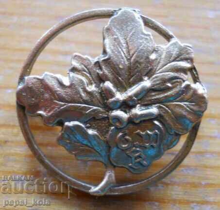 Vechi insignă germană cu frunze de stejar - aurire