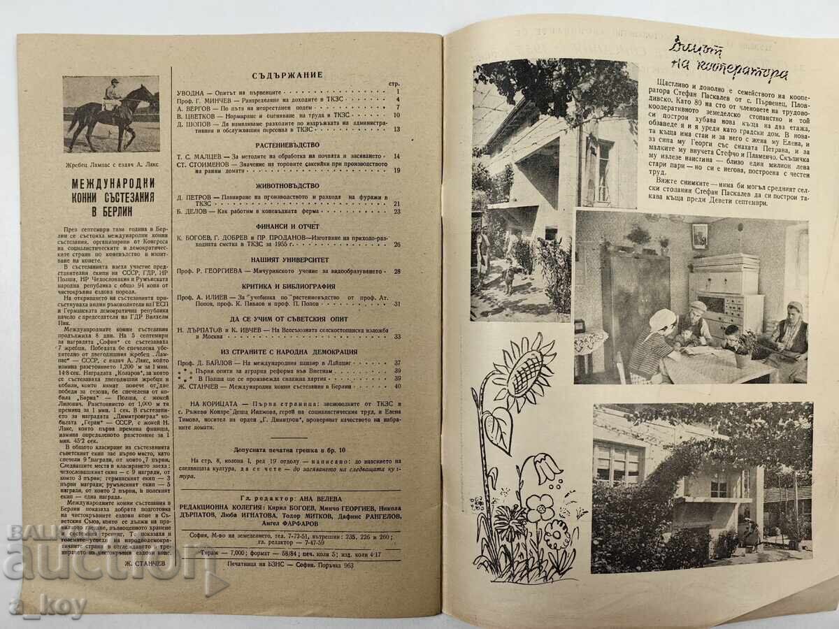 1954 COOPERATIVA AGRICOLĂ SOCIALISTĂ REVISTĂ ZIAR NRB TKZS - 6