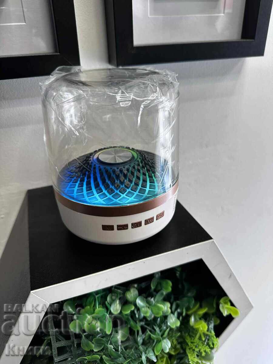 Delivery of CR68 Wireless Speaker