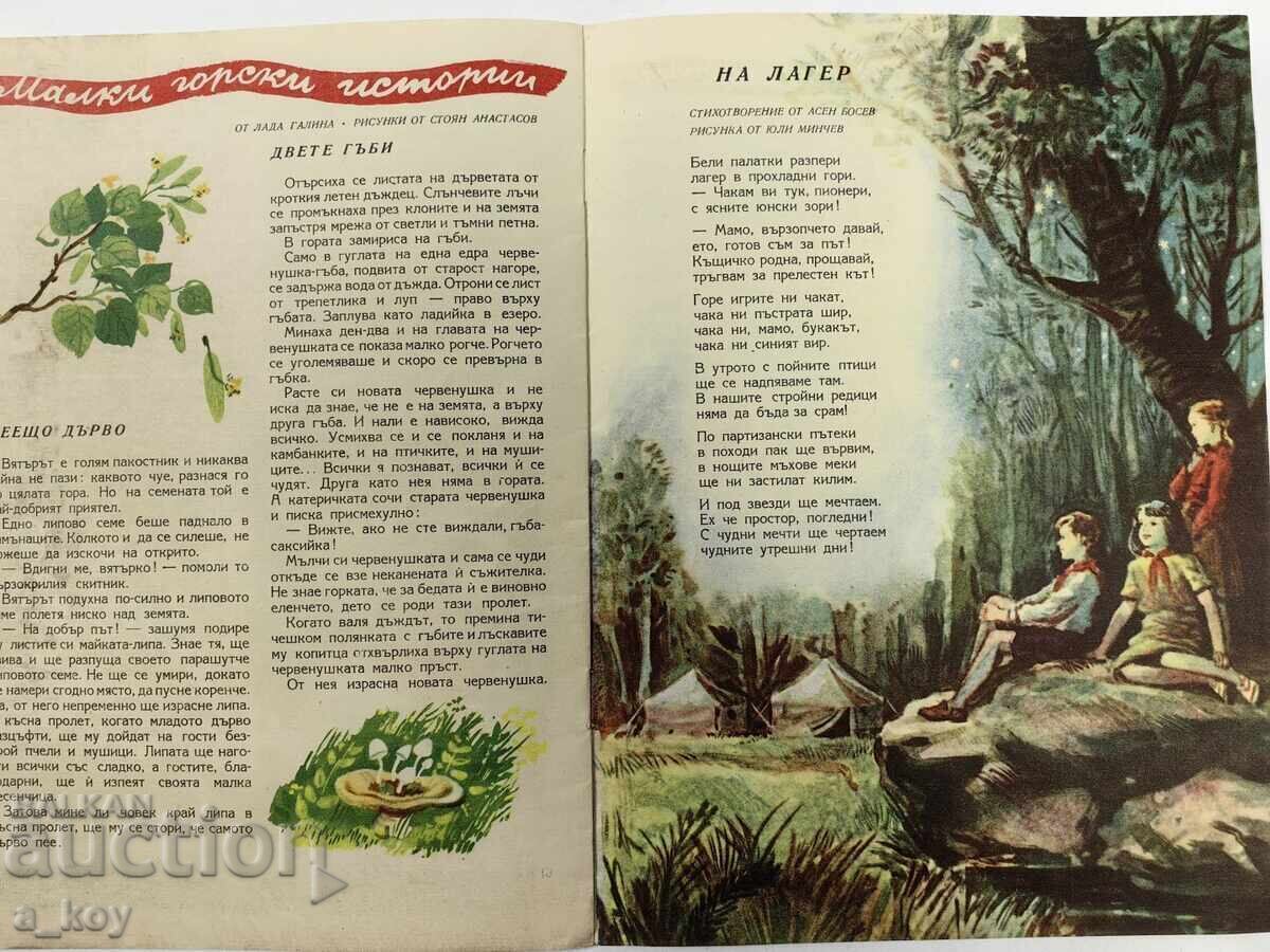 1956 ДРУЖИНКА СОЦ ДЕТСКО СПИСАНИЕ ВЕСТНИК НРБ СТОМНА НОСИЯ - 6